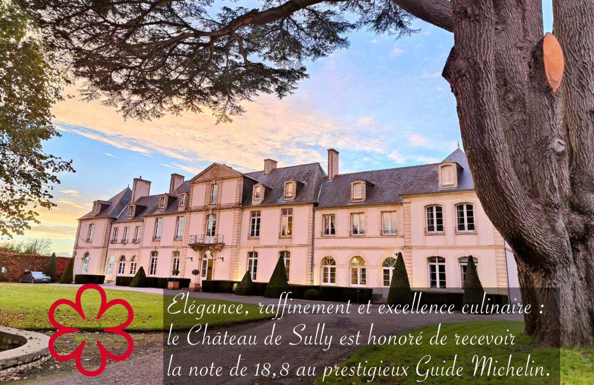 Hôtel Chateau De Sully Sully  Exterior foto
